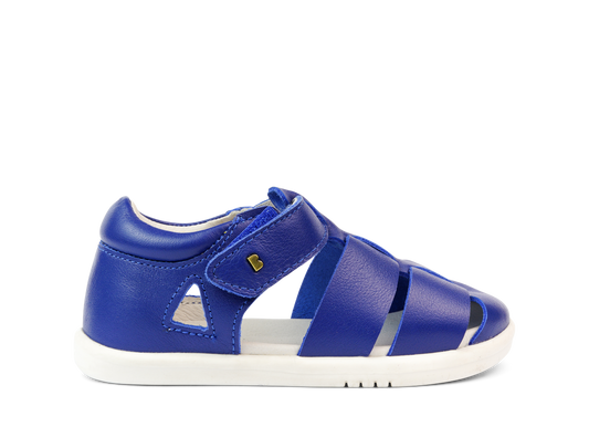 Step Up Tidal Blueberry